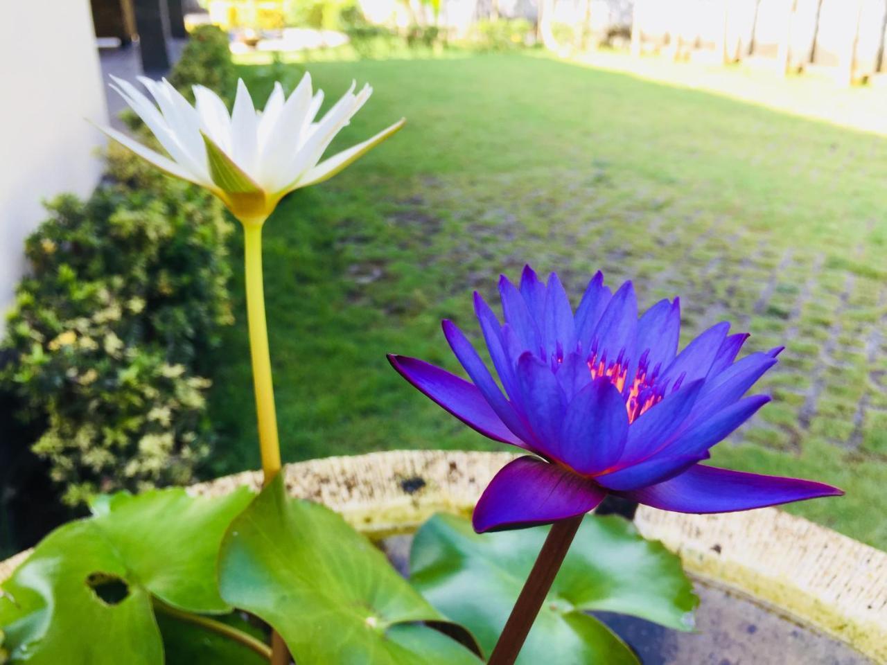 Mutiara Bali Hotel จันดีดาซา ภายนอก รูปภาพ
